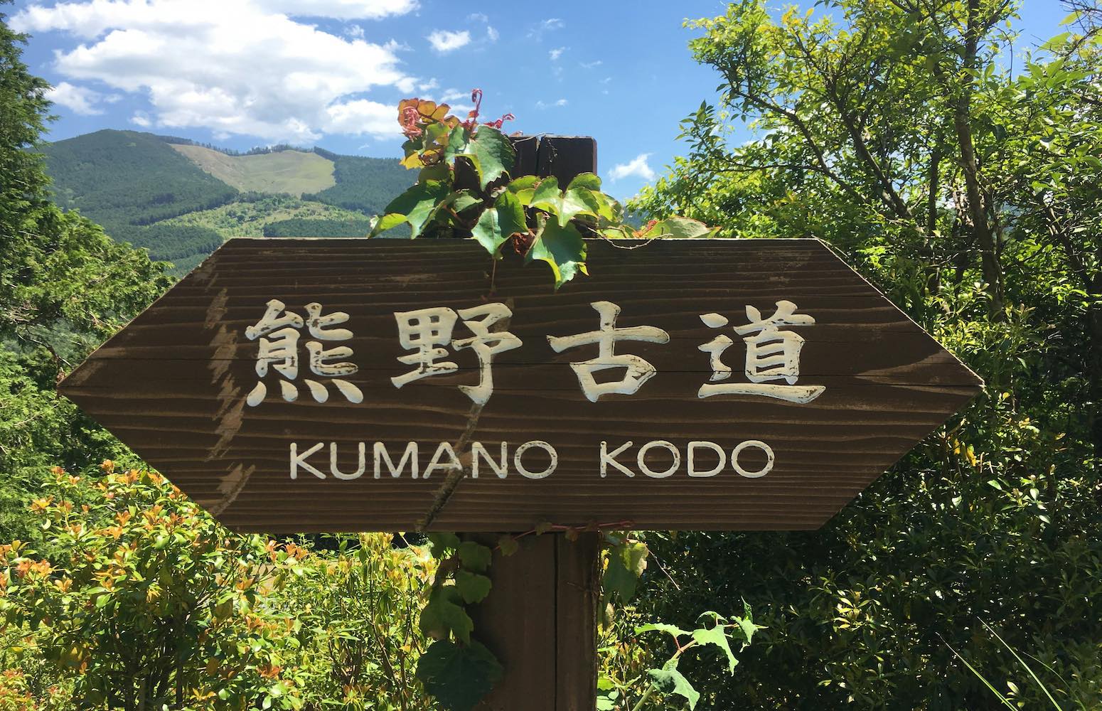 montañas japon